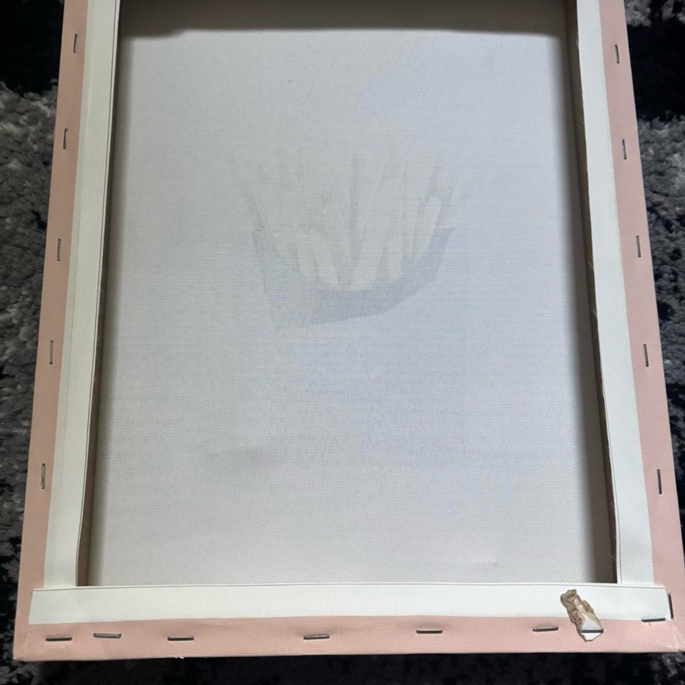 Elegant Pink Picture Frame